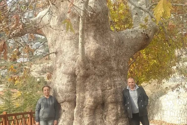 Güzelsu Çay Bahçesi - Resim 18