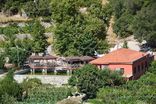 Güzelsu Çay Bahçesi - Resim 7