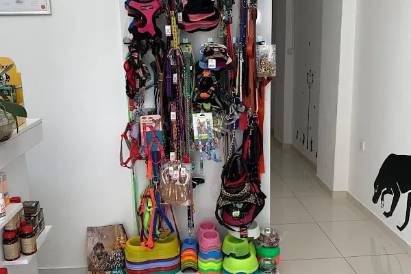 VET PAW VETERİNER KLİNİĞİ - Resim 20