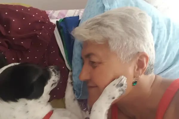 VET PAW VETERİNER KLİNİĞİ - Resim 16