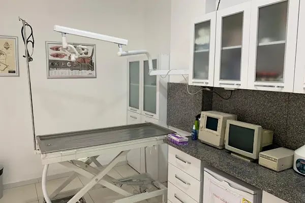 VET PAW VETERİNER KLİNİĞİ - Resim 5