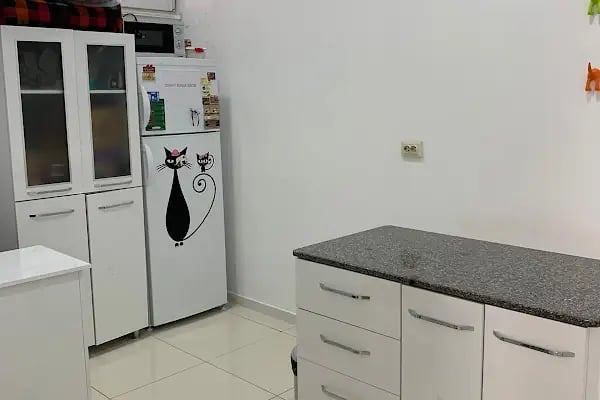VET PAW VETERİNER KLİNİĞİ - Resim 7