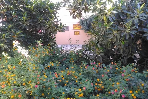 Osmanli Marco Pasha Hotel - Resim 15