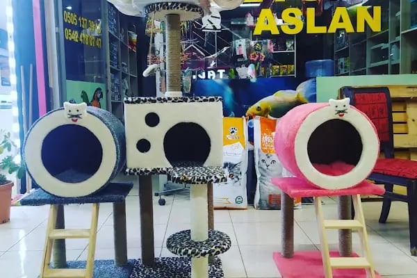 Aslan PETSHOP - Resim 6
