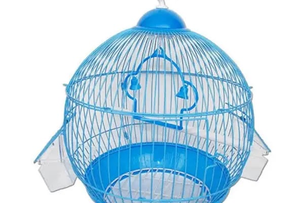 Aslan PETSHOP - Resim 5