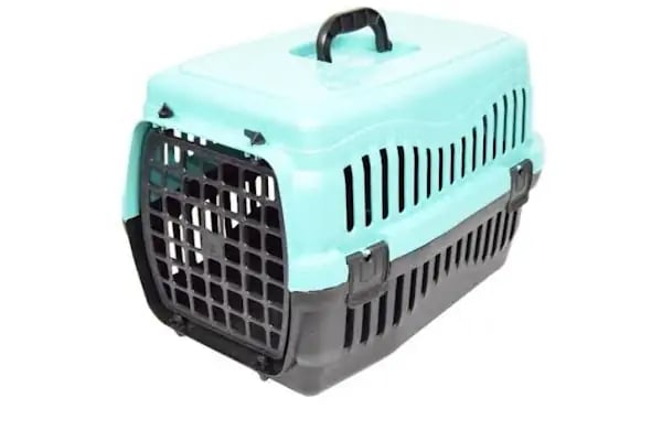 Aslan PETSHOP - Resim 8