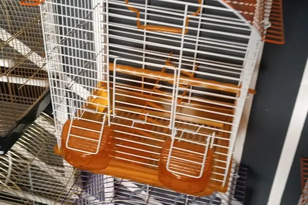 Aslan PETSHOP - Resim 3