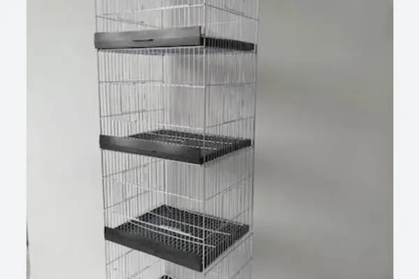 Aslan PETSHOP - Resim 14
