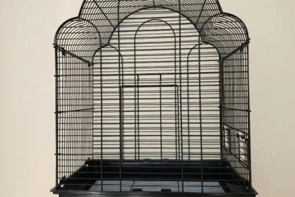 Aslan PETSHOP - Resim 7