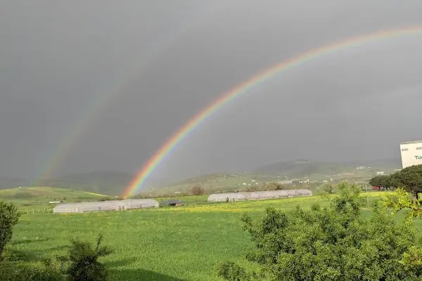 Tarım Kredi Yem Fab Balikesir - Resim 16