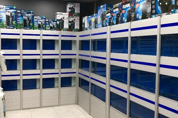 Rüzgar Petshop - Resim 7