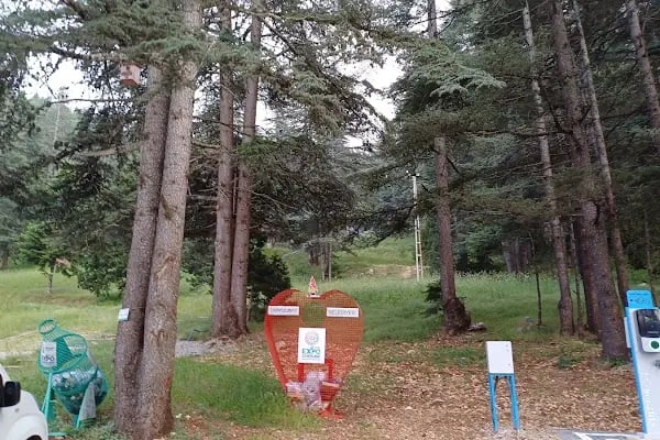 Ferah Yayla Bungalov &amp; Restoran - Resim 18