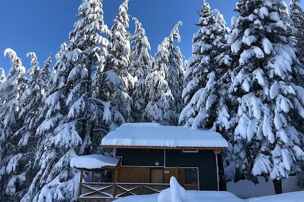 Ferah Yayla Bungalov &amp; Restoran - Resim 8