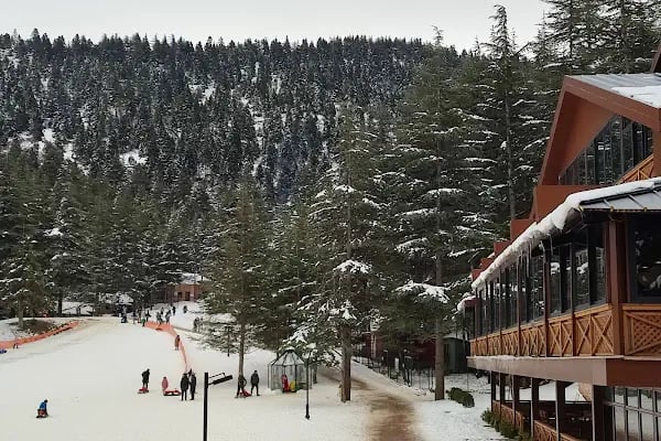 Ferah Yayla Bungalov &amp; Restoran - Resim 17