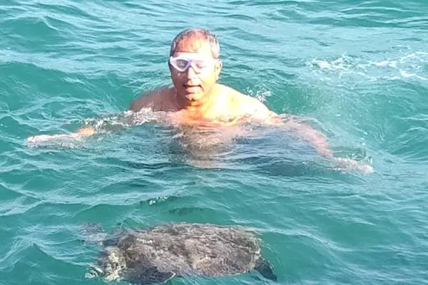 Çayağzı Yat Limanı - Resim 10