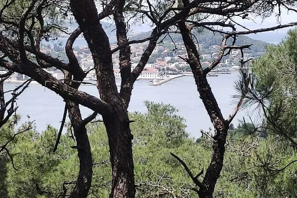 Aşıklar Restaurant - Resim 7