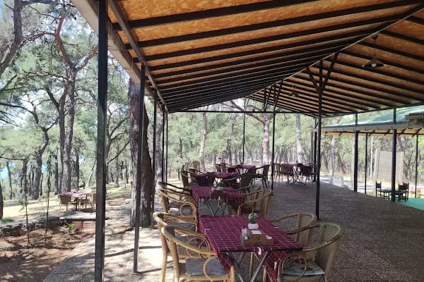 Aşıklar Restaurant - Resim 2