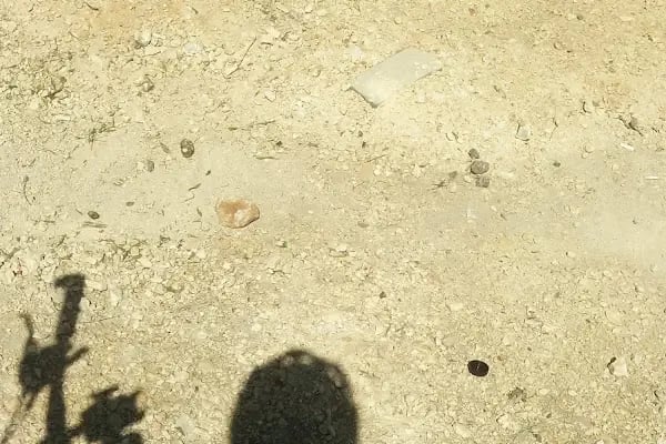 Şahinbey Belediyesi Bilim ve Sanat Merkezi - Resim 15