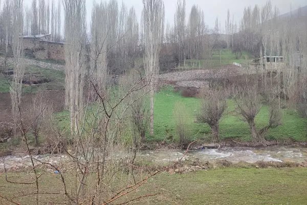 Van bahçesaray - Resim 18