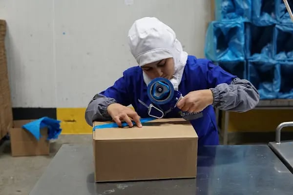 İnsus Dondurulmuş Gıda Ürünleri Sanayi ve Ticaret A.Ş. - Resim 14