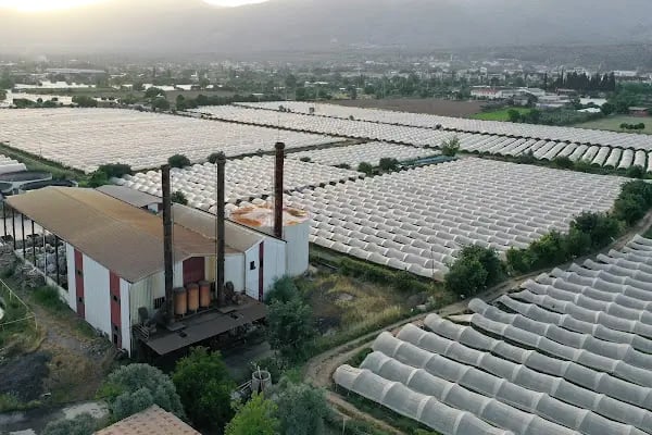 İnsus Dondurulmuş Gıda Ürünleri Sanayi ve Ticaret A.Ş. - Resim 20
