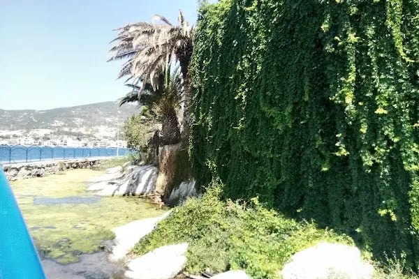 Kybele Tapınağı - Resim 12