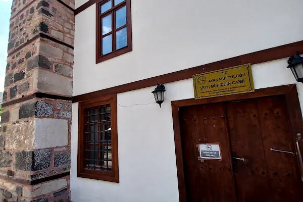 Şeyh Muhyiddin Cami - Resim 9