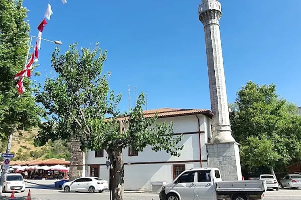 Şeyh Muhyiddin Cami - Resim 19