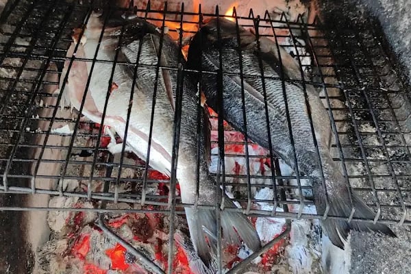 İpek bahcesi - Resim 4