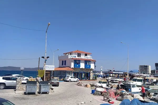 Mordoğan Yat Limanı - Resim 7