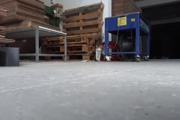 ÖRNEK İNŞAAT VE DÜĞÜN SALONU İŞLETMELERİ SANAYİ VE TİCARET LTD.ŞTİ. - Resim 11
