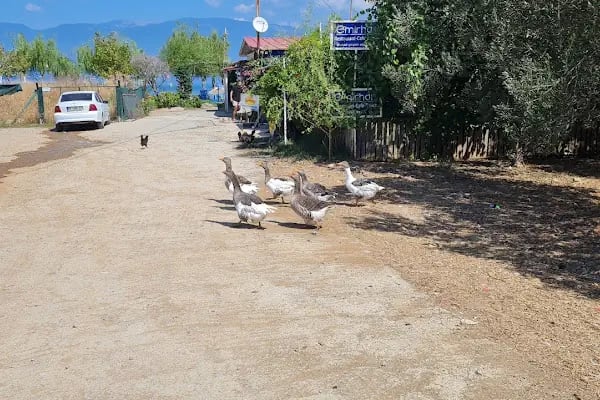 Emirhan Beach - Resim 14