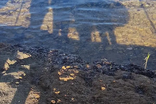 Emirhan Beach - Resim 17