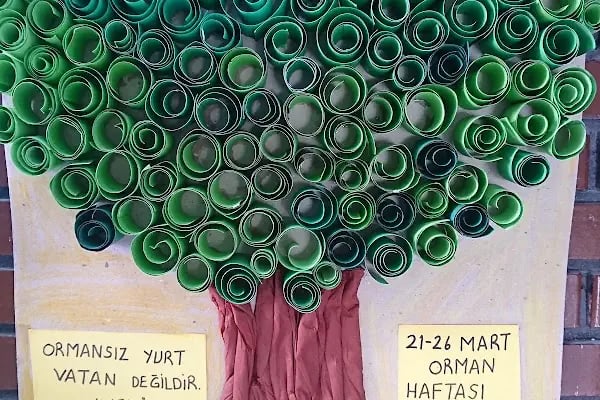 Kapaklı Cumhuriyet İlköğretim Okulu - Resim 15