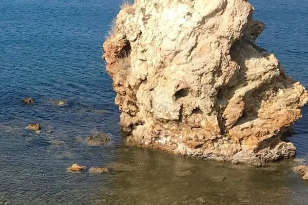 Intaland Sahil Cafe ve Restaurant - Resim 19