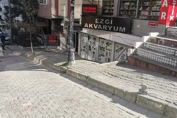 Ezgi Akvaryum Toptan Parakende İth. İhr. - Resim 2