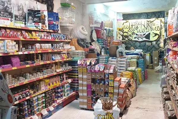 Ezgi Akvaryum Toptan Parakende İth. İhr. - Resim 20