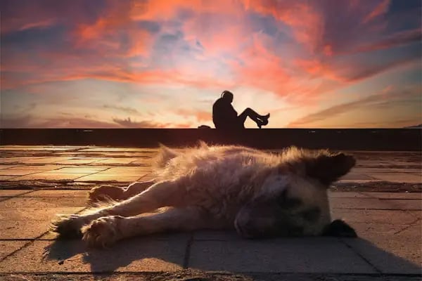 Gündüz Akşamoldu Fotoğraf Stüdyosu - Resim 8