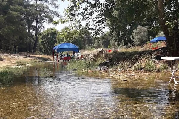 Küçük ev Gizli Vadi Camping Restaurant - Resim 10