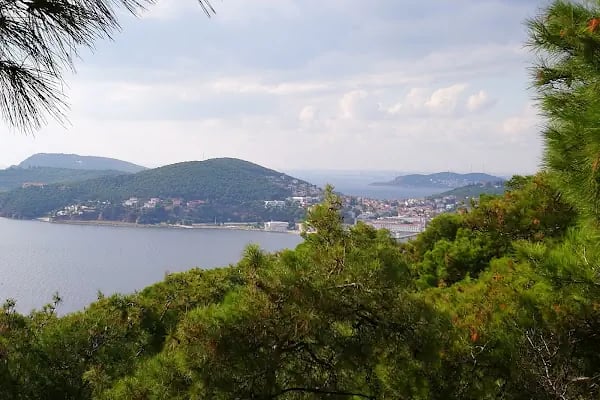 Büyükada Ermeni Katolik Kilisesi - Resim 11