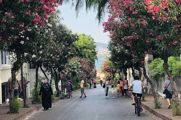 Büyükada Ermeni Katolik Kilisesi - Resim 7