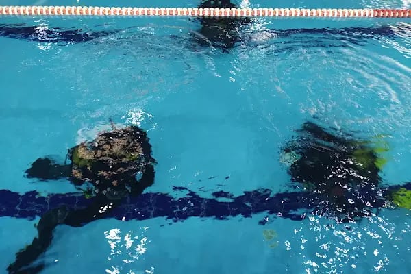 Konya Büyükşehir Belediyesi Spor Kompleksi - Resim 11