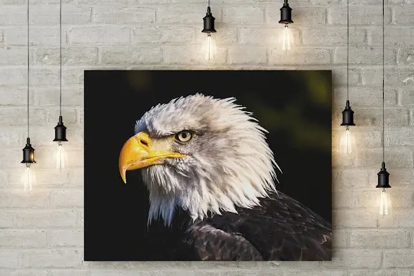 ÖMÜR COPY CENTER - MATBAA - BASKI - FOTOKOPİ - KAŞE - POSTER - Resim 7
