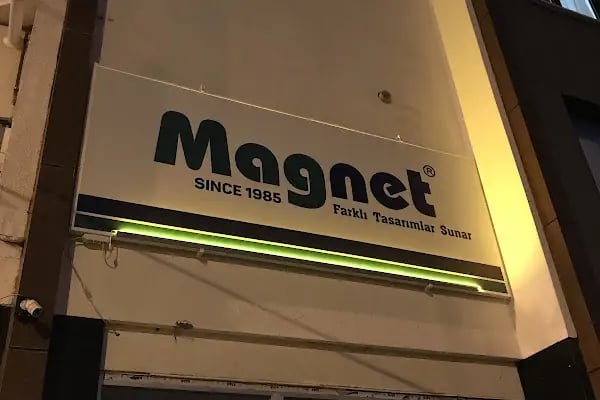 Magnet sineklik - Resim 15