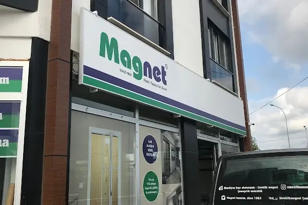 Magnet sineklik - Resim 2