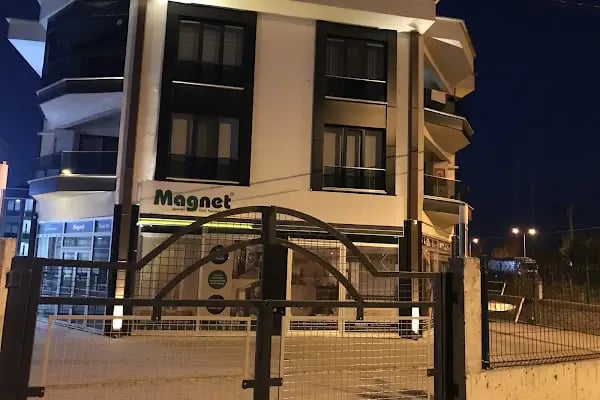 Magnet sineklik - Resim 18