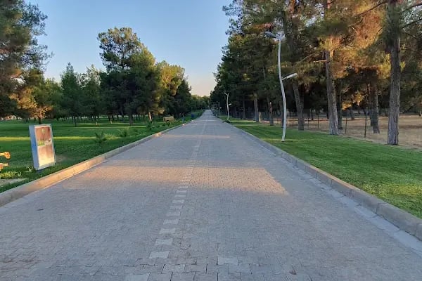CEYLANPINAR TARIM İŞLETMESİ MÜDÜRLÜĞÜ (TİGEM) - Resim 19
