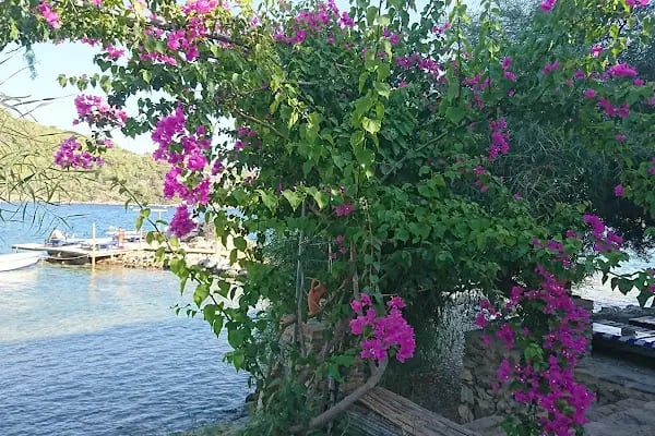 Mazı Kale Pansiyon - Resim 19