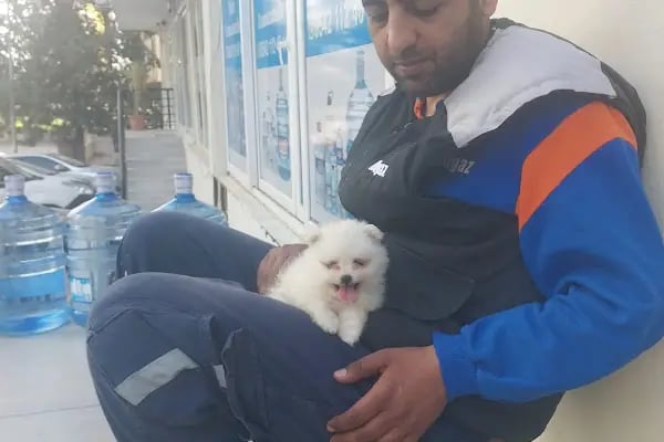 Kaya Ticaret Aygaz Tüp Bayi - Resim 8