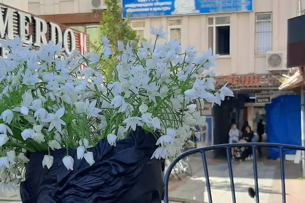 EDURUS:ÖZEL KOLAY YABANCI DIL KURSU - Resim 5